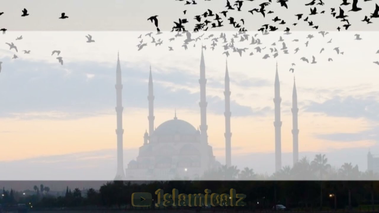 Surah As-Saff recitation 61:6 &7 &8 &9