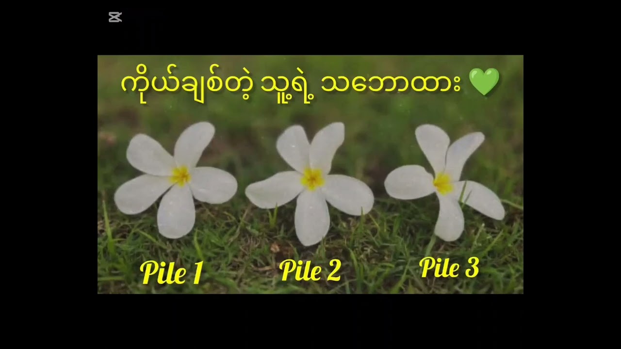 ကိုယ့်ပေါ်သူရဲ့ သဘောထား  PickAPile Timeless Tarot Reading 💖💓💞
