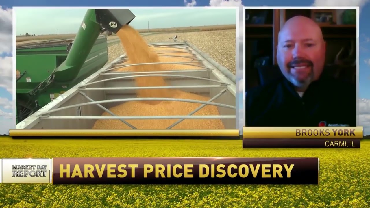 Brooks York on RFD TV speaking on the projected harvest prices for primary commodities