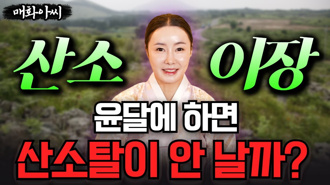 (매화아씨) 🪦산소 이장🪦 윤달에 파묘하면 산소탈을 막을 수 있을까? #미우새점집 #용한점집 #유명한점집 #위험한초대