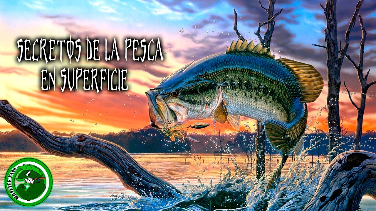 Black Bass   Secretos de la pesca en superficie.
