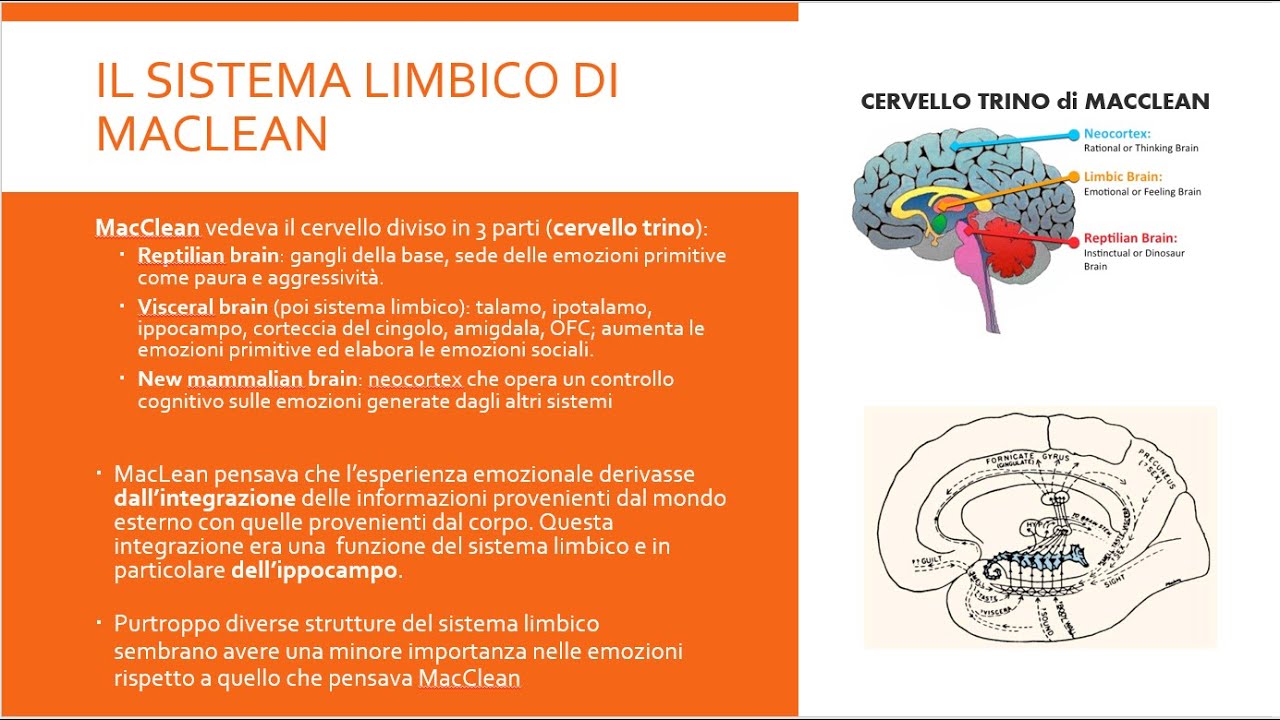 Il Cervello Emotivo - meccanismi cerebrali delle emozioni