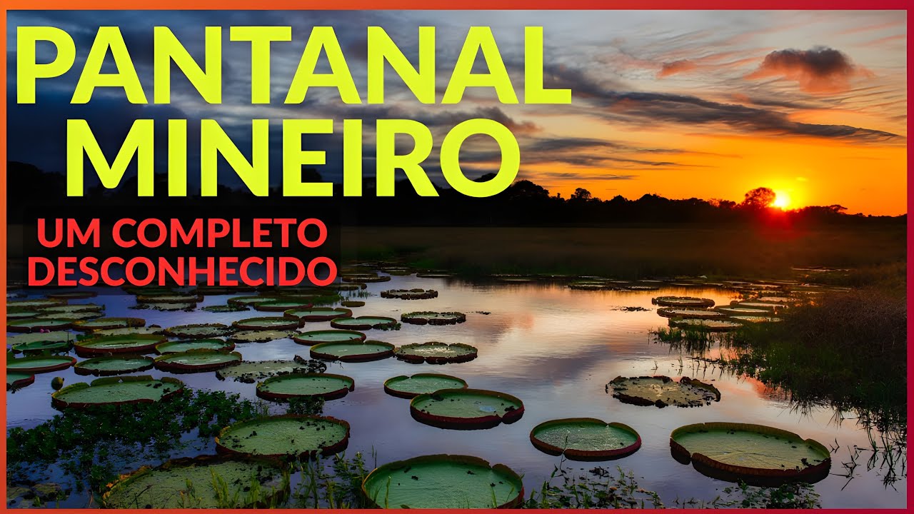 ENTRE O SERTÃO E AS ÁGUAS: O PANTANAL DESCONHECIDO DE MINAS GERAIS | Terra de Minas [ESPECIAL