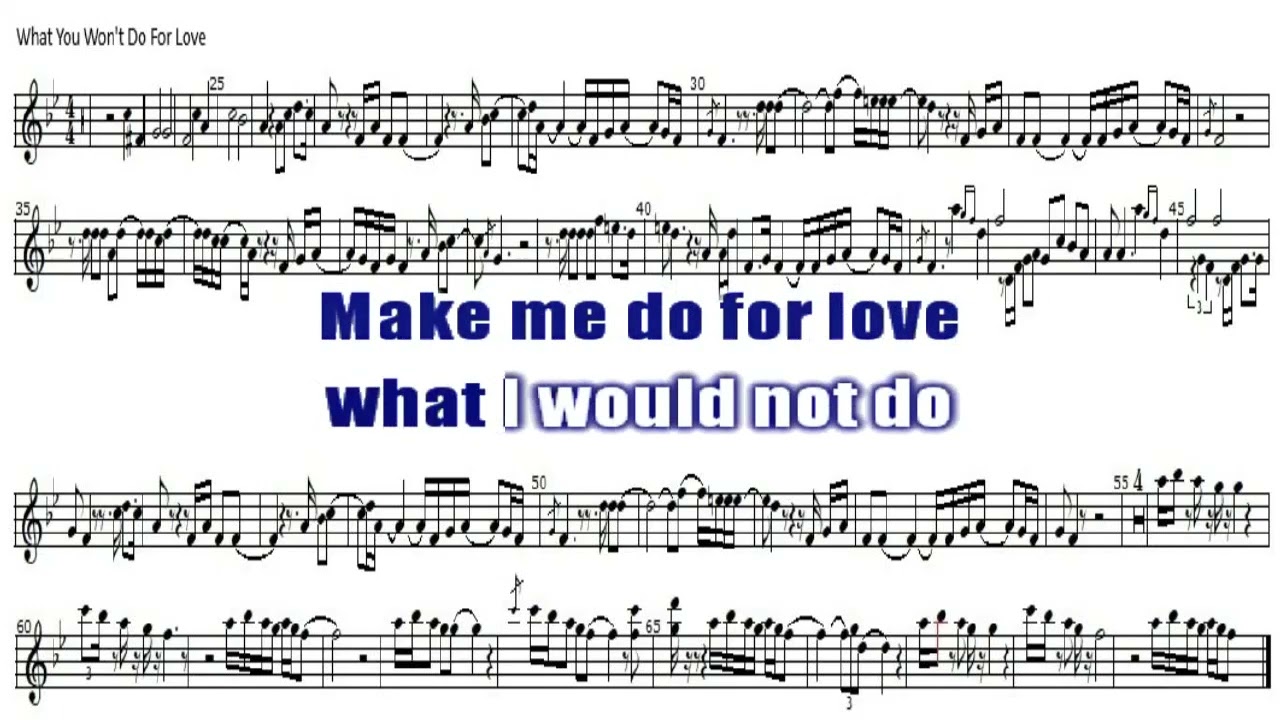 WHAT YOU WON'T DO FOR LOVE KARAOKE ALTO SAX SHEET MUSIC