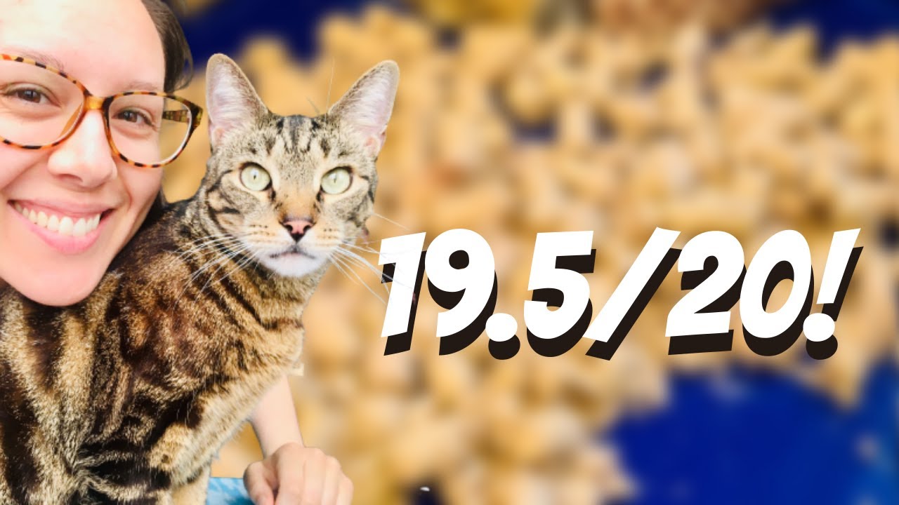 Jess Caticles reviews freeze-dried raw cat food part 2