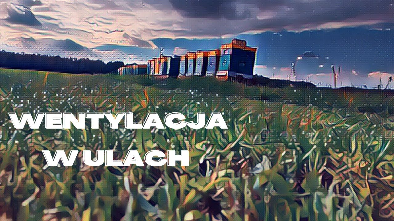 Wentylacja w ulach poliuretanowych.