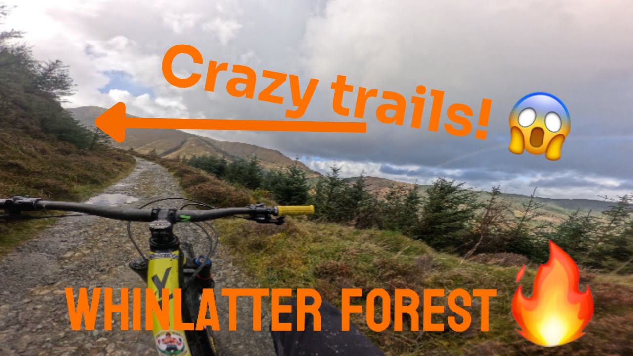 RIDING EPIC TRAILS IN A STORM🌩️(WHINLATTER FOREST) #18Bikes #mtb