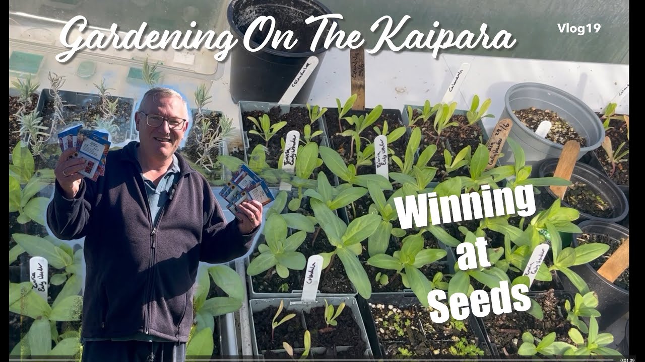No Dig Gardening on the Kaipara - New Zealand || Vlog 19 July 2025 || Winning at Seeds