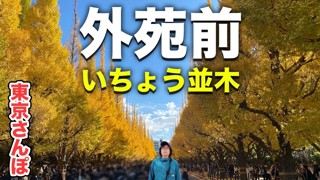 【 東京・紅葉】都内屈指0円の無料絶景！外苑前イチョウ並木を自転車と徒歩さんぽVlog