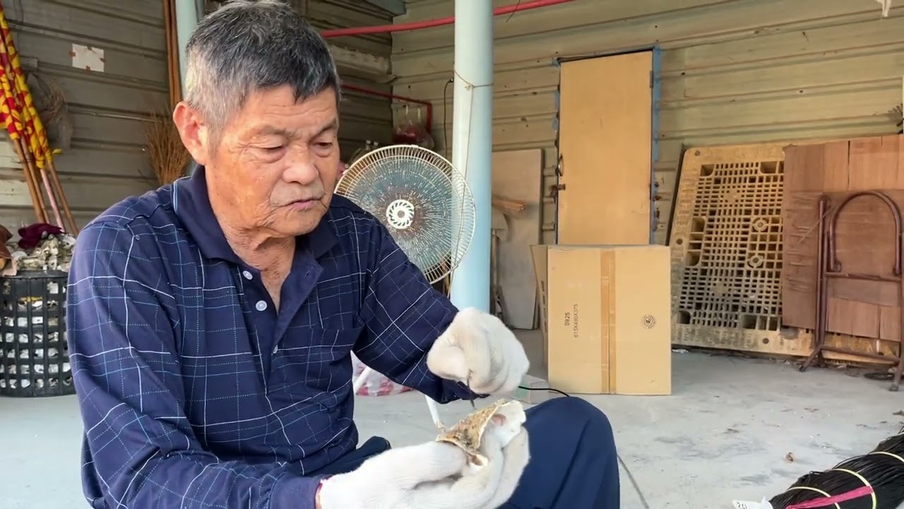 蚵串｜2025 青聚點社區影像課程實作