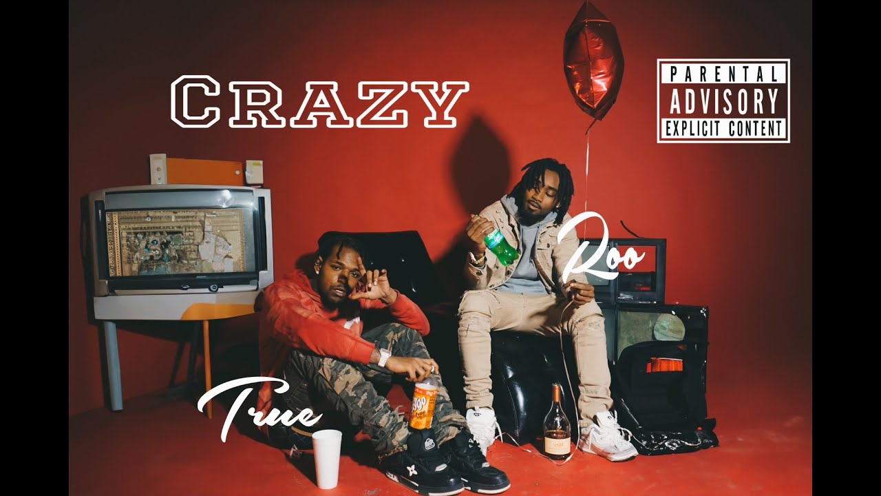 True - Crazy (ft. Roo)