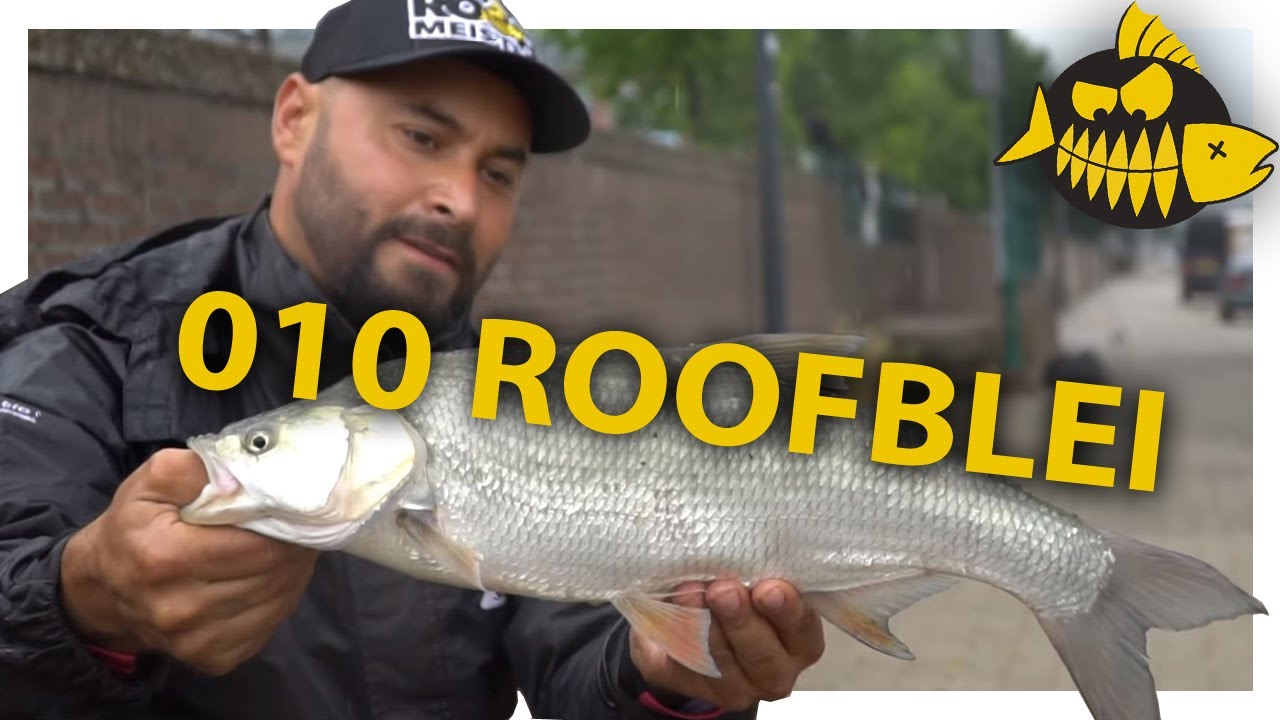 ROOFBLEI midden in ROTTERDAM!
