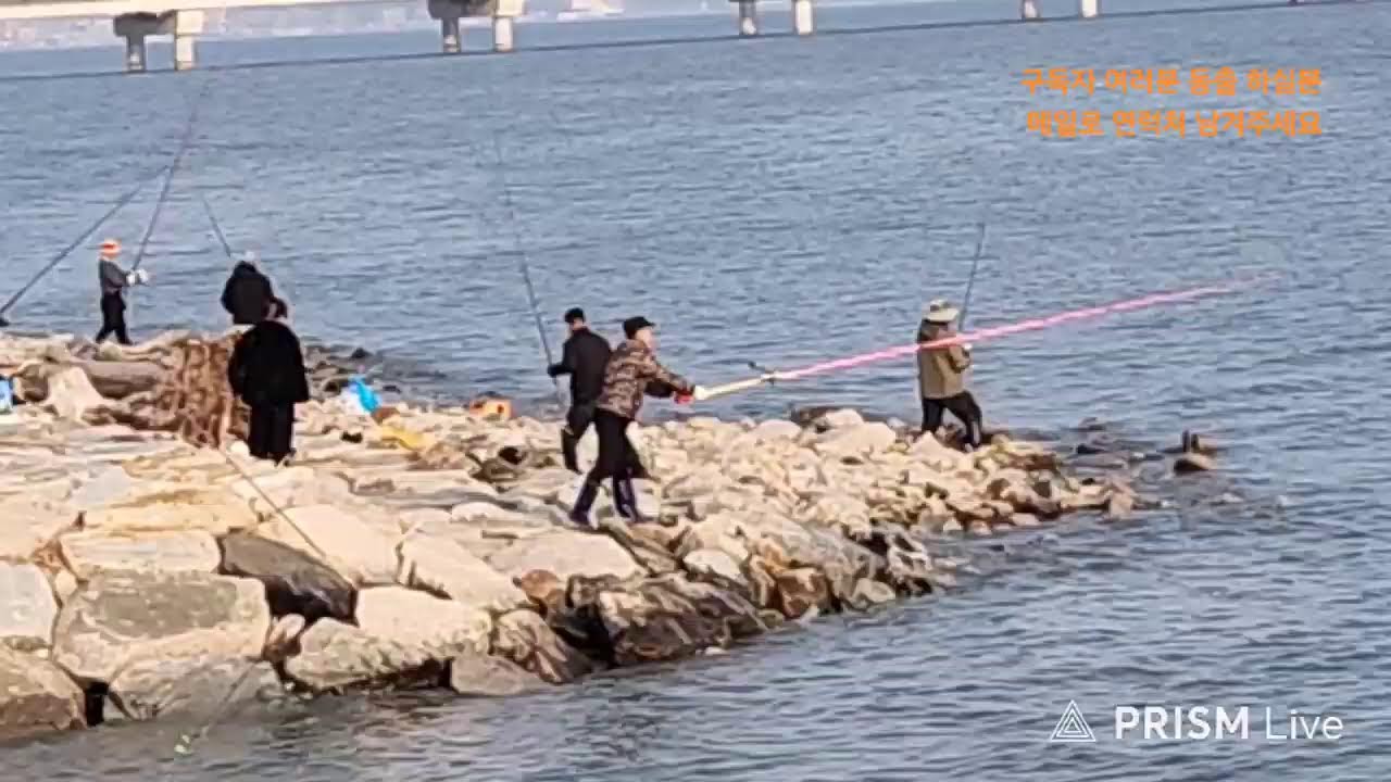 3월4일 7물 영종도 숭어타작