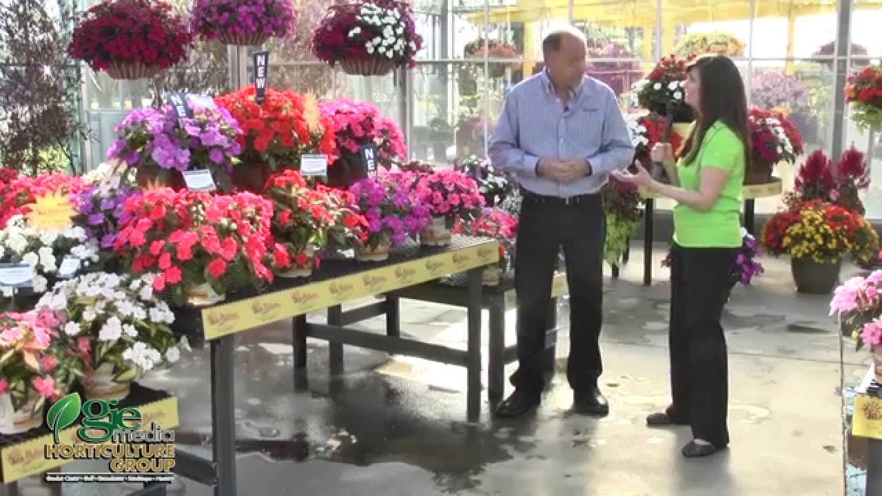 The Inside Scoop on SunPatiens® with Mark Seguin