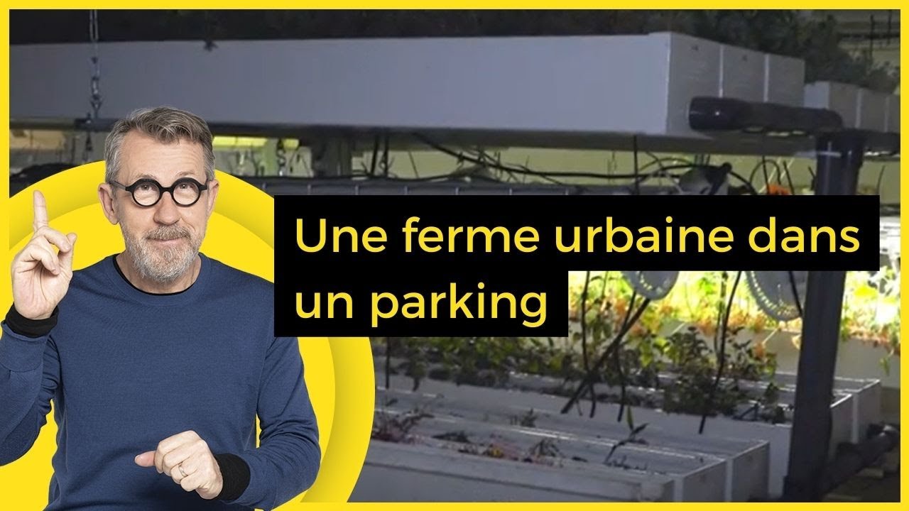 Une ferme urbaine dans un parking - C Jamy