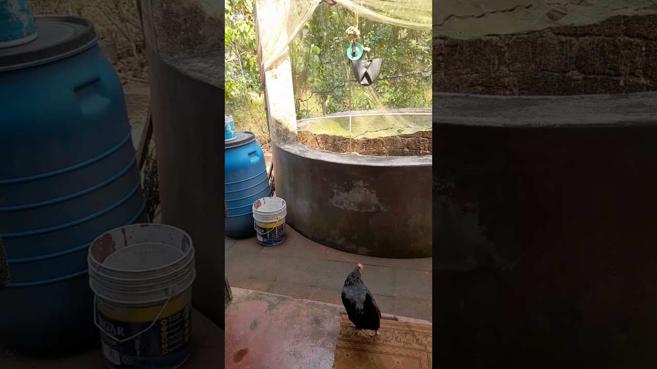 ഇന്ന് അച്ചാച്ചന്റെ പാചകം 