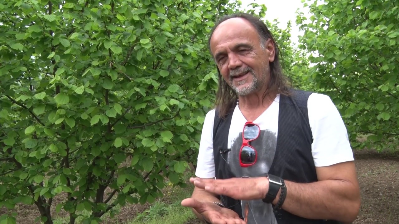 Tartufi - zabluda ili zarada?