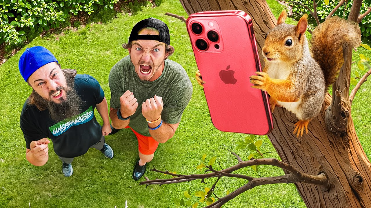 Funniest Pets Ever Caught on Camera