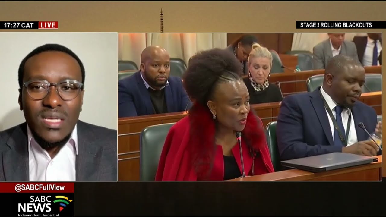 Assessing Advocate Dali Mpofu's decision to exit Mkhwebane's inquiry: Mpumelelo Zikalala