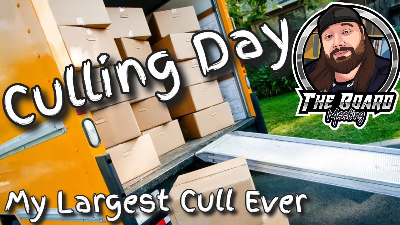 Culling 80 Games