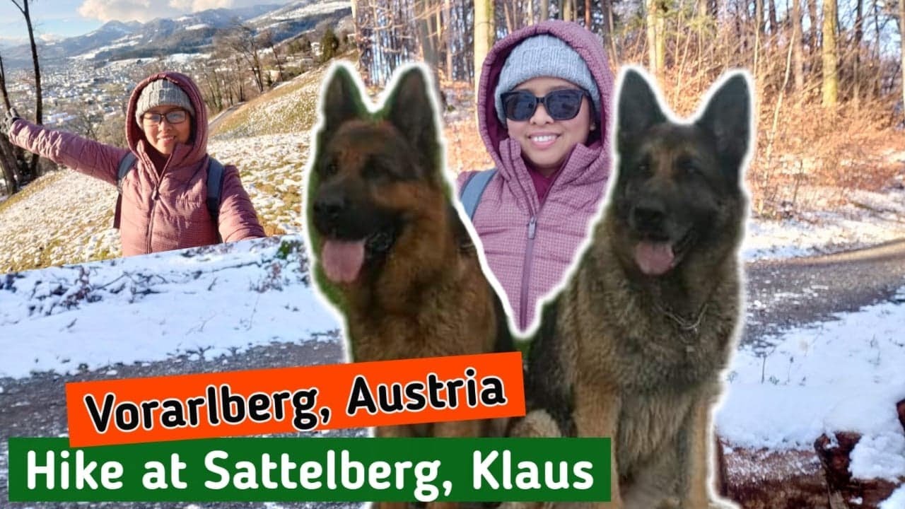 Hike at Sattelberg with our German Shepherd | Vorarlberg | Mountain of Austria | JergStyle