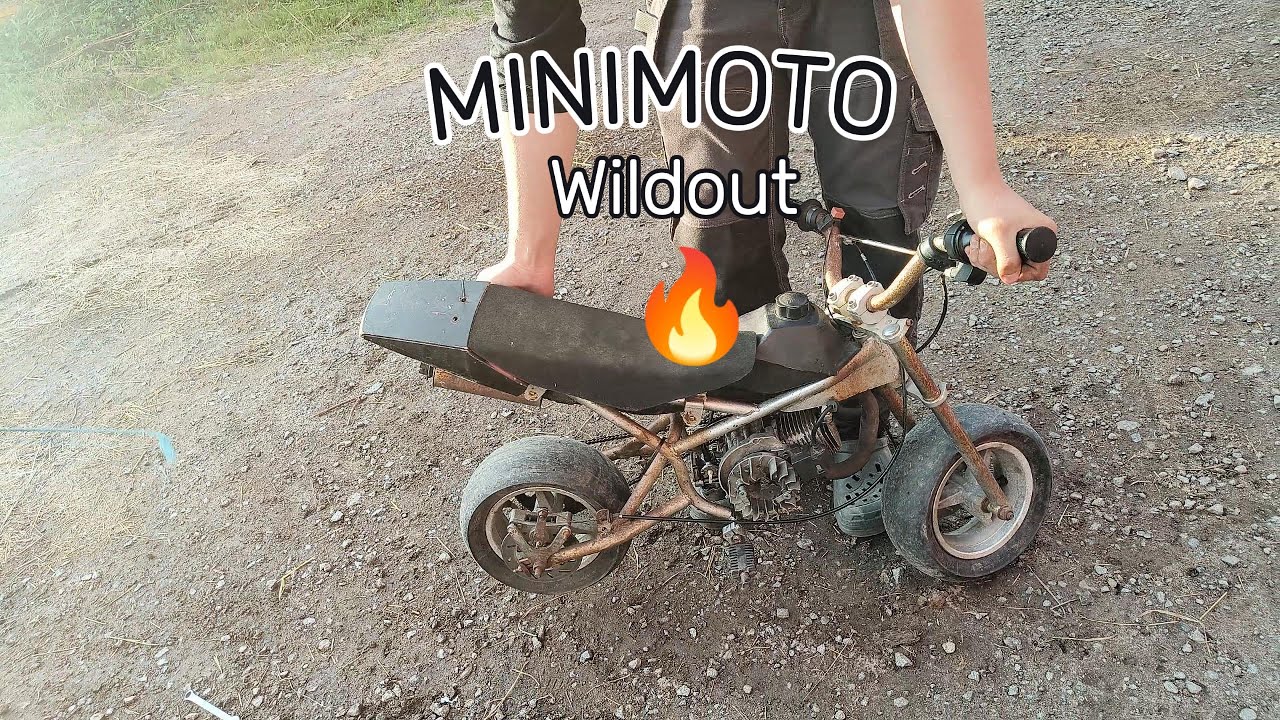 MiniMoto Wildout!