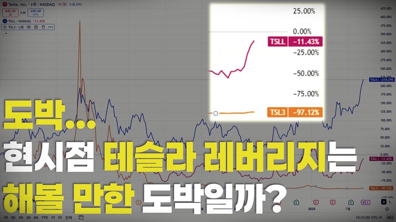 레버리지는 투자는 도박? 대박 사례가 있는데? 현시점 테슬라 레버리지는 해볼 만한 도박일까?