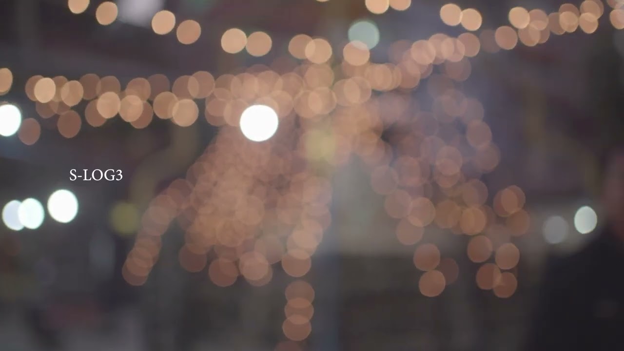 The Art of Color Grading | Sony a 7iii | Feiyutech AK2000C | Sigma 24-70mm f2.8 | Cinematic B-roll |