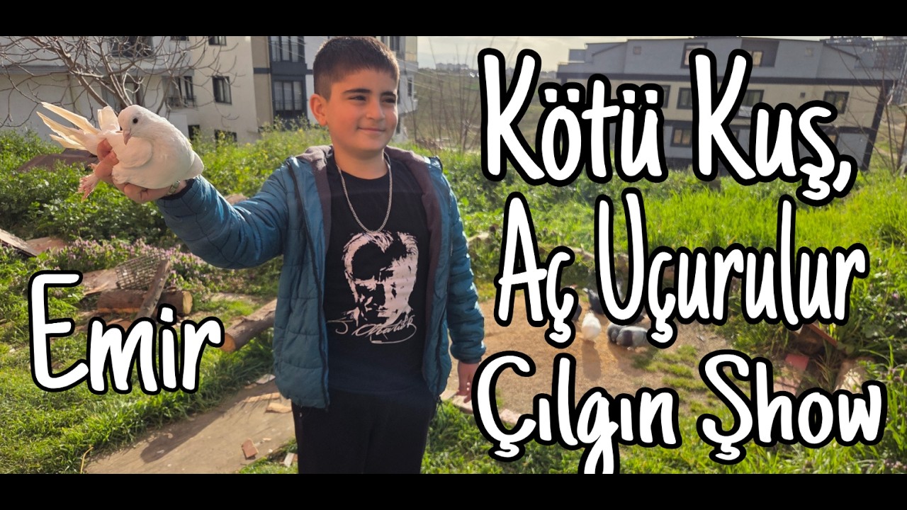 Kötü Kuş Aç Uçurulur, Hedefe Gelsin Diye. My Name Çılgın Şhow Time