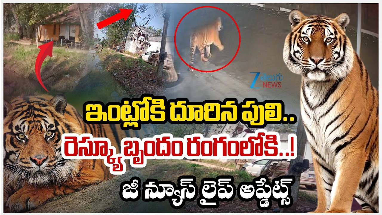 Rajahmundry Tiger Latest Updates | 120 Forest Officials on Duty.. Searching Operation Going On!!