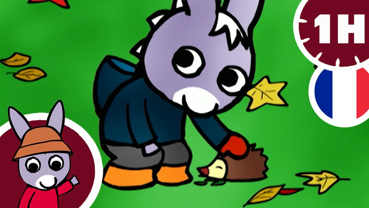 🦔 Trotro s'occupe du hérisson 🦔 - Dessin Animé pour Bébé