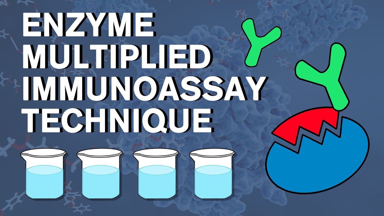 Enzyme multiplied immunoassay technique