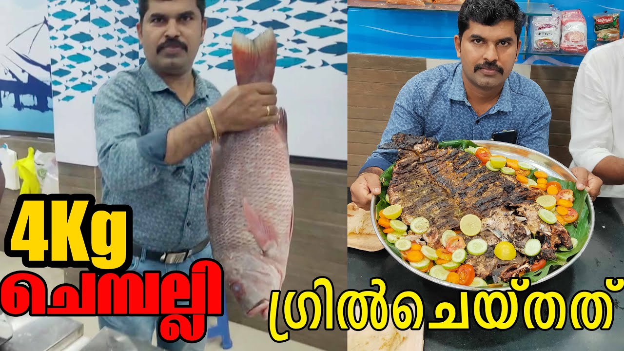 4 KG ചെമ്പല്ലി ഗ്രിൽ ചെയ്തത്  I REDSNAPPER ALFAHAM I NILA FISH HUB PATTAMBI