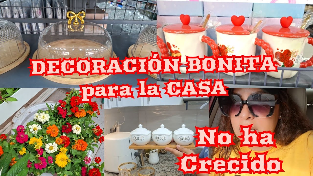 TAZAS PARA SAN VALENTIN 2026 / VOY AL VIVERO 