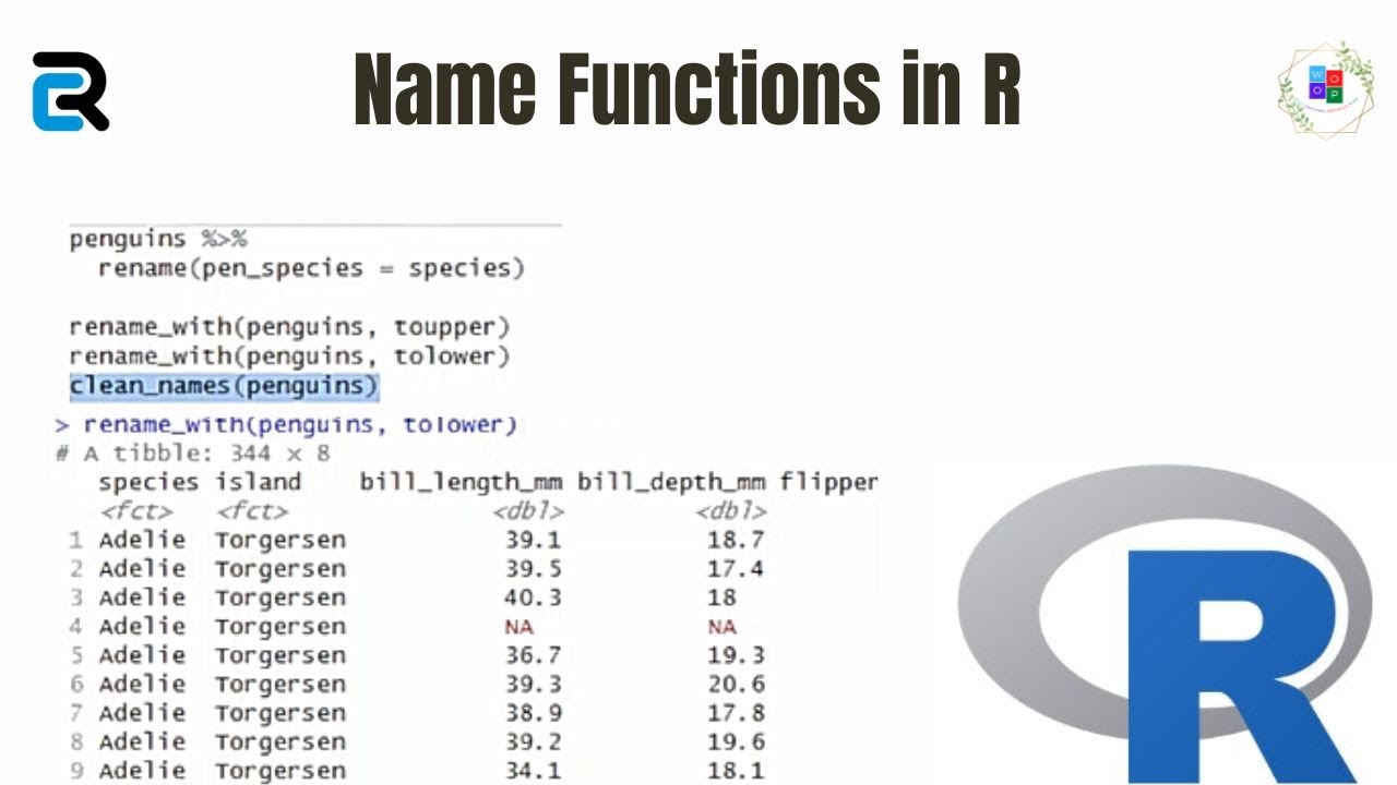 How to use name Functions in R?