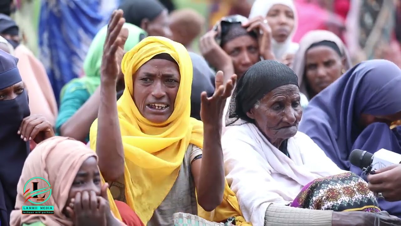 Sababa beelaa ilmoo kootiin addaan bahe.  namni qarqaaruu feetan 10229000951117
