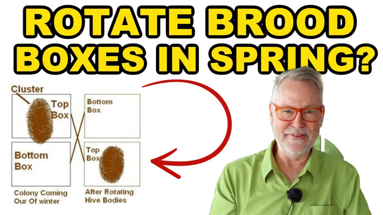 Beekeeping | Should You Rotate Brood Boxes This Spring?