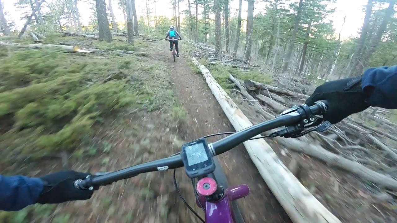 Ringtail Trail | Dumb Ride | Front Range MTB