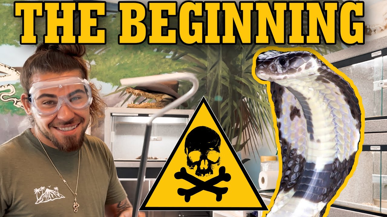 Buying my First VENOMOUS SNAKE!  (*SPITTING COBRA*)