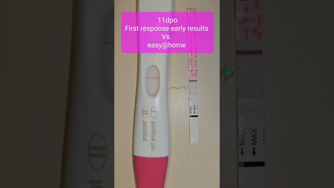 11dpo live pregnancy test battle #baby #pregnancy #pregnancytest #pregnant #livepregnancytest #ttc