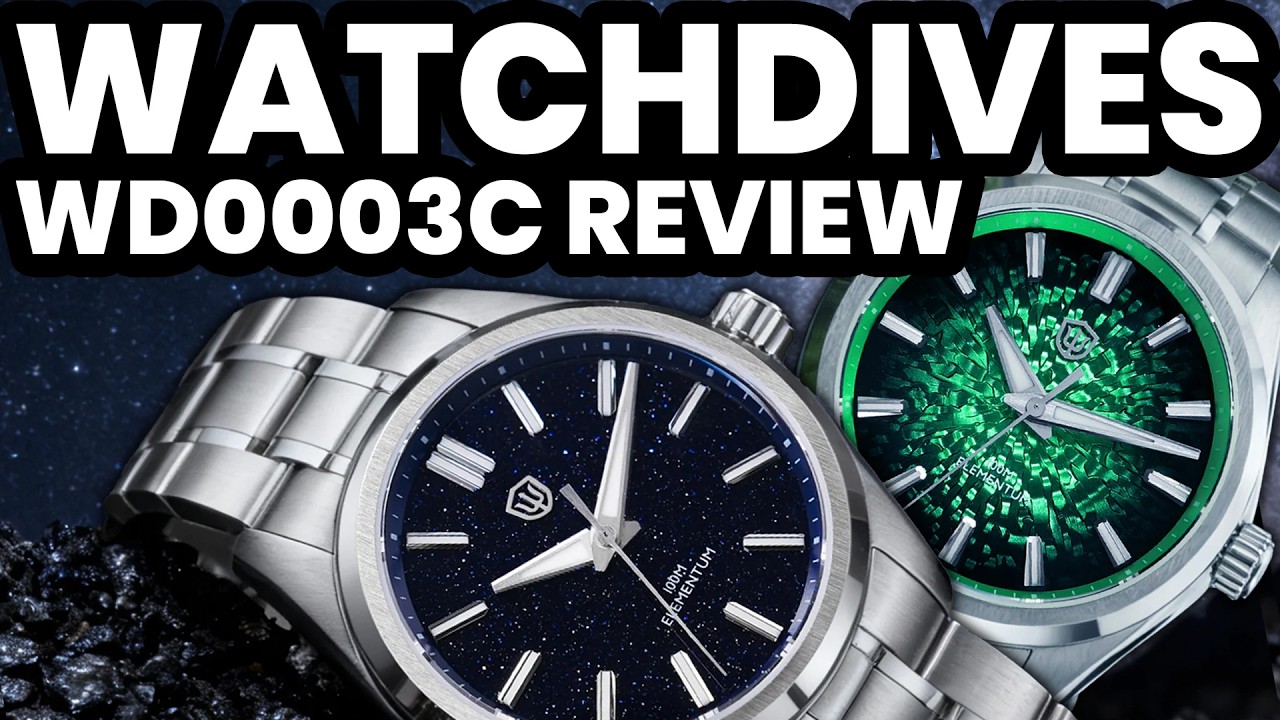 WATCHDIVES WD0003C REVIEW! Is This The Best Watch Dial on AliExpress?
