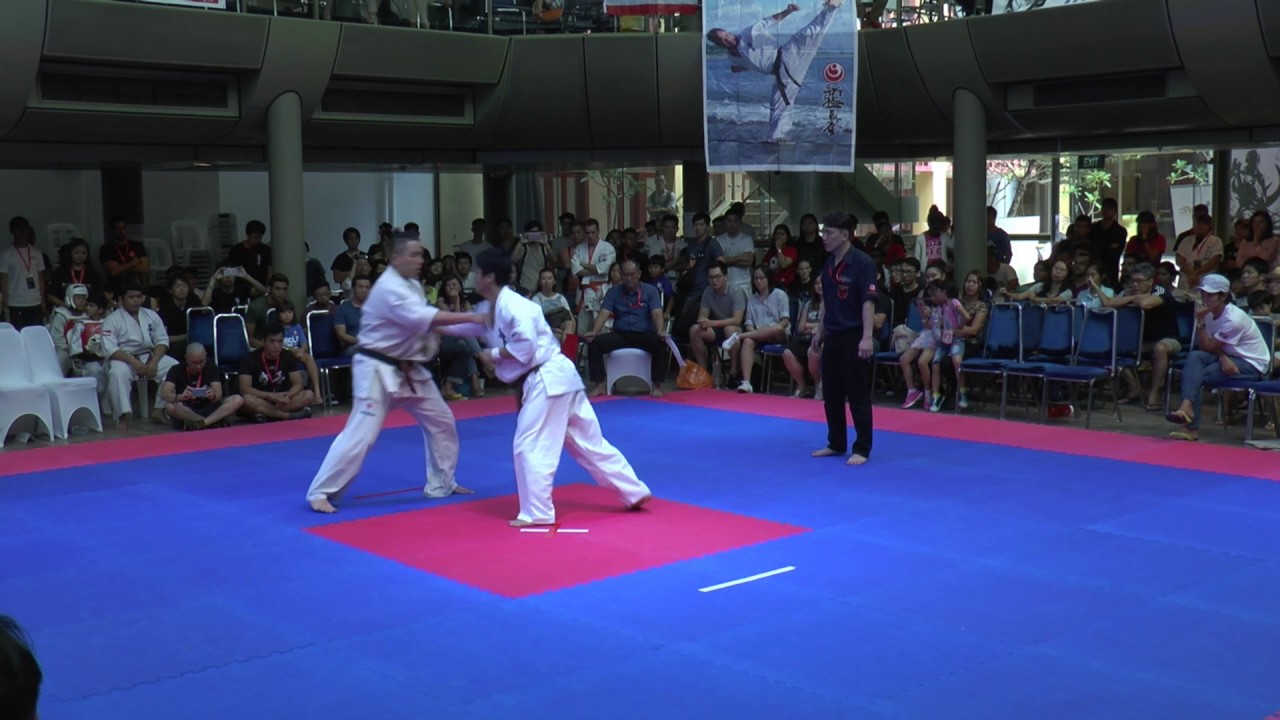 Wu Jie Jun vs. Junichiro Honda