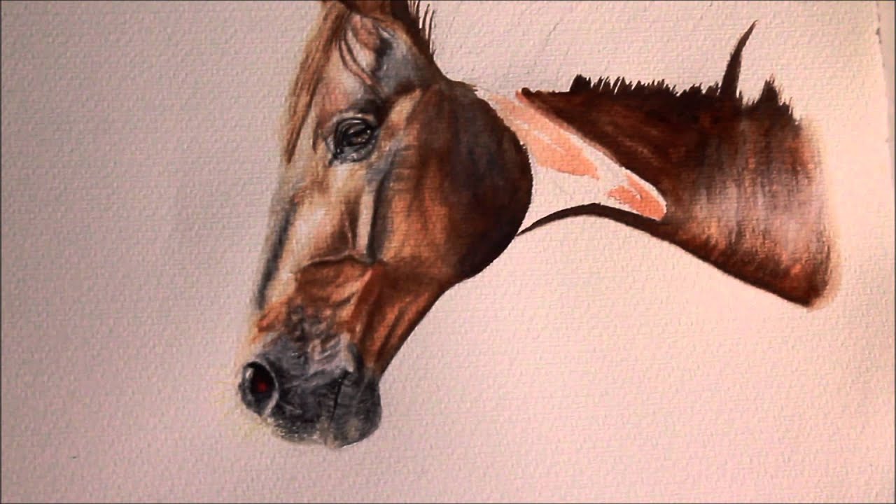 Portrait malen lassen Pferdeportrait ohne Raster/Projektor - Aquarell Pferd von Jana Noreen Germer