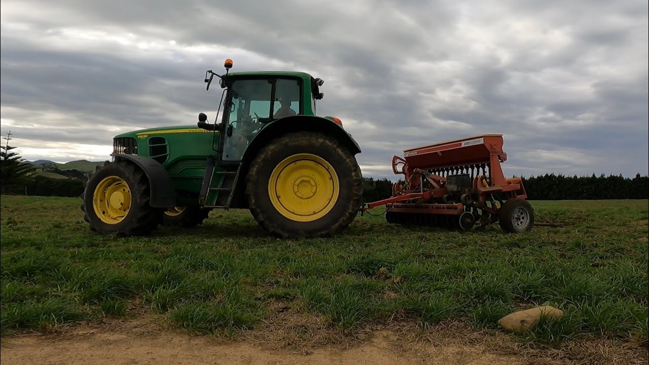 Direct drilling rye grass