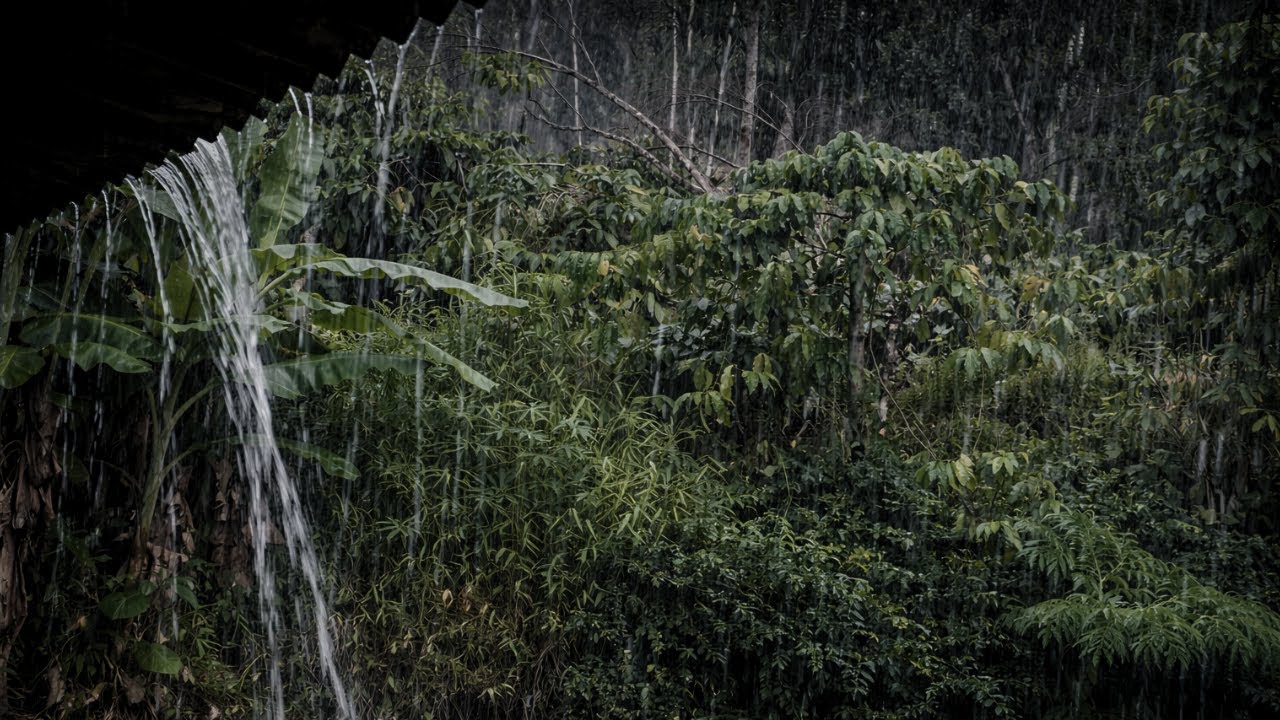 Heavy Rain on The Leaves, Relaxing Nature Sounds for Sleep | Meditation  🌧️