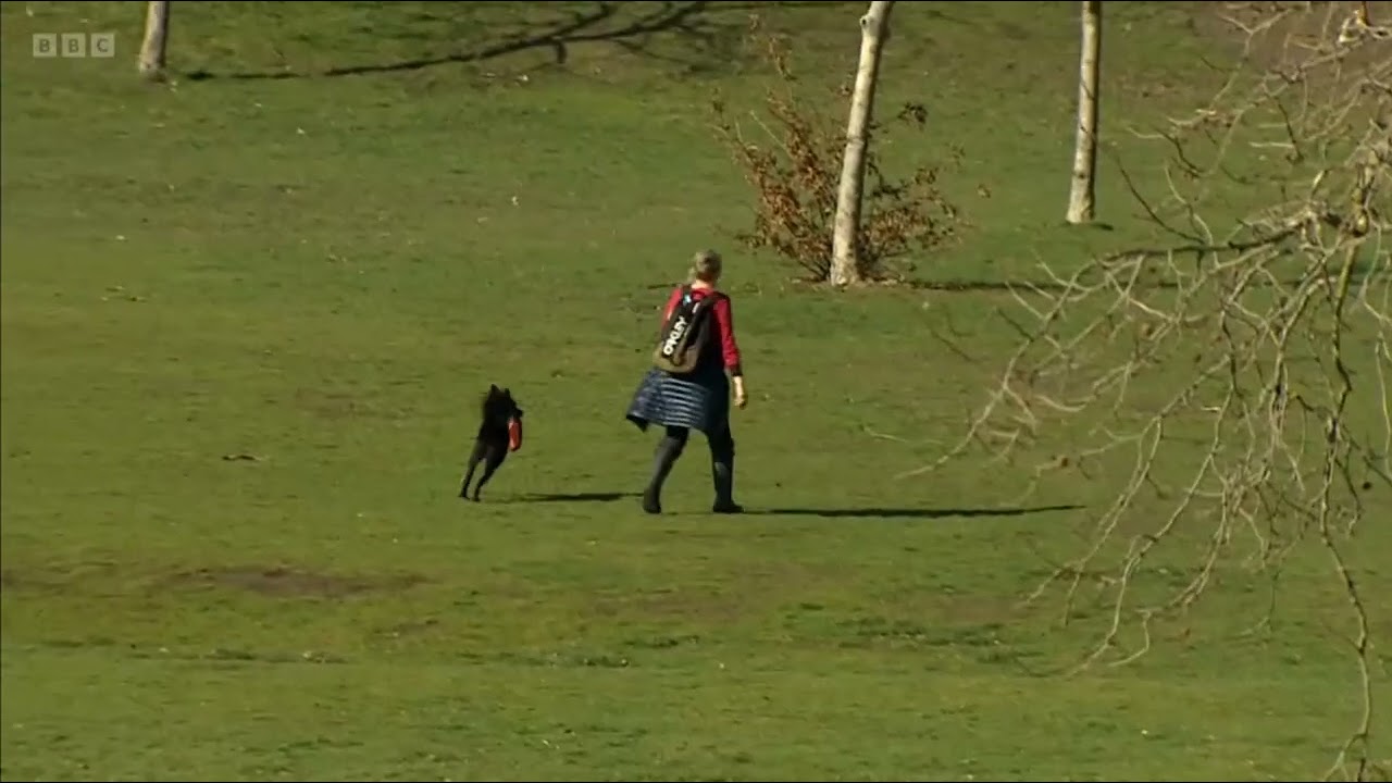 Good Parks for London - Lewisham comes top! BBC London 25 October 2024