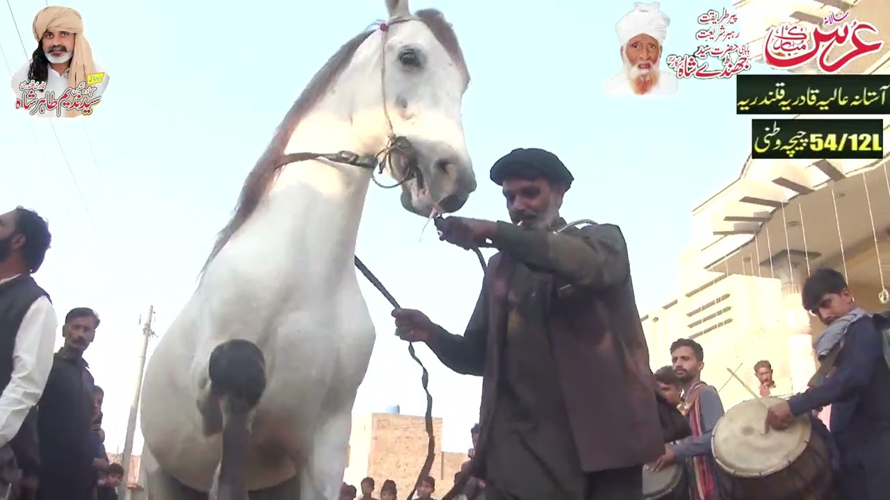 عرس مبارک  سید جھنڈے شاہ54/12L چیچہ وطنی 
