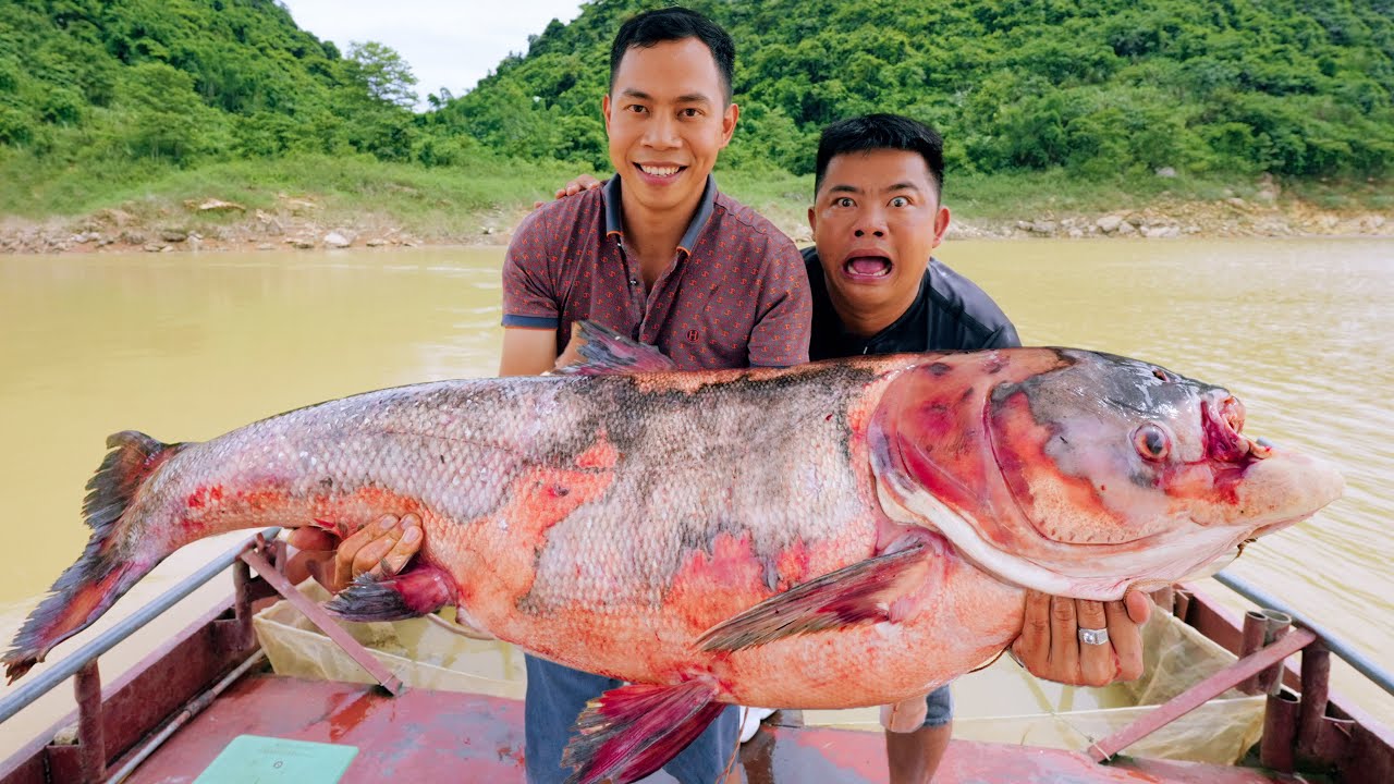 CATCHING GIANT FISH - Cooking 7 Delicious Dishes: Salad, Fried Fish Head, Grilled,... | SAPA TV