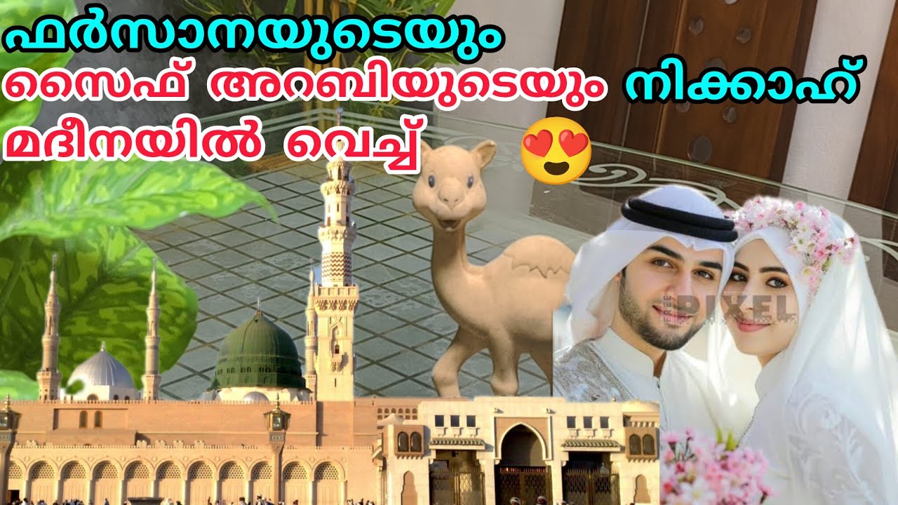 സൈഫ് അറബിയുടെയും ഫർസാനയുടെയും നിക്കാഹ് മദീനയിൽ വെച്ച് നടത്തണം🥰ഷെഫി ഉസ്താദിന്റെ ആഗ്രഹം#hidayath