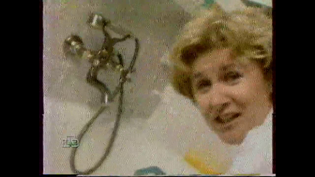 Фрагмент рекламного блока и прогноз погоды (НТВ, 18.04.1999)